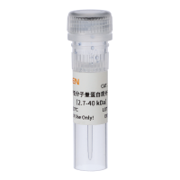 三色预染低分子量蛋白Marker(2.7-40 KDa)|GoldBand 3-color Low Range Protein Marker