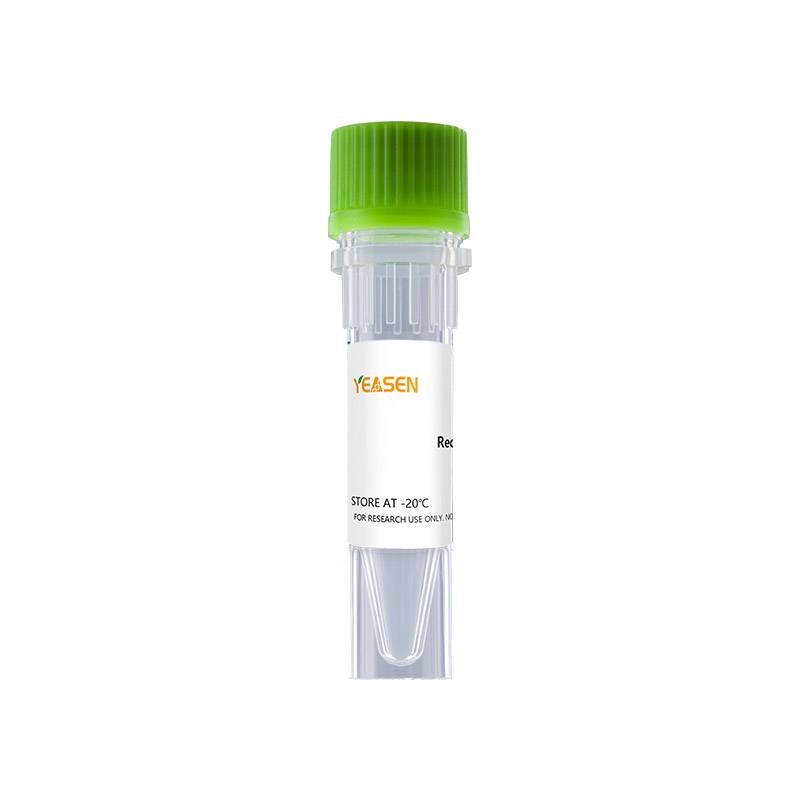 Human Neuritin 重组人神经肽(人神经肽)产品图