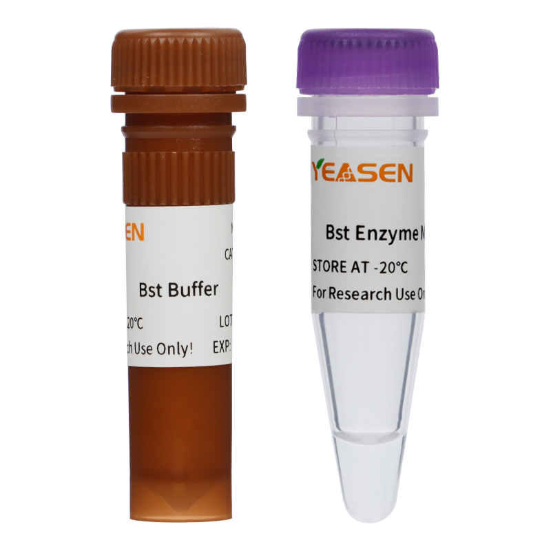 RT-LAMP染料检测试剂盒(含UDG)|RT-LAMP Dye Assay Kit(UDG plus)