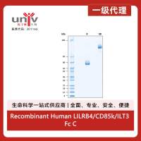 Recombinant Human LILRB4/CD85k/ILT3 Fc Chimera Protein, CF (50 UG)