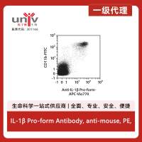 IL-1β Pro-form Antibody, anti-mouse, PE, REAfinity™