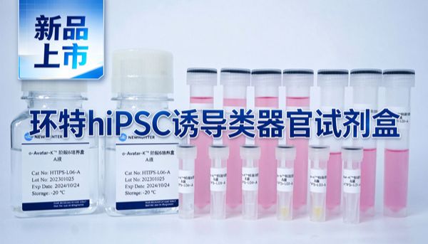 新品福利 | 小规格尝鲜装，环特hiPSC类器官试剂盒喊你来领！