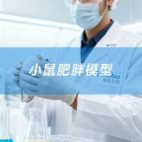 小鼠肥胖模型构建服务