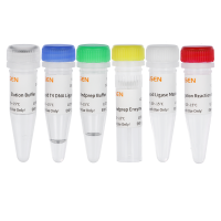 DNA建库试剂盒 Hieff® DNA Library Prep Kit for ONT