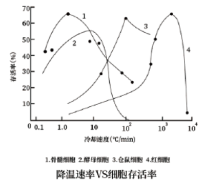 产品细节图片2