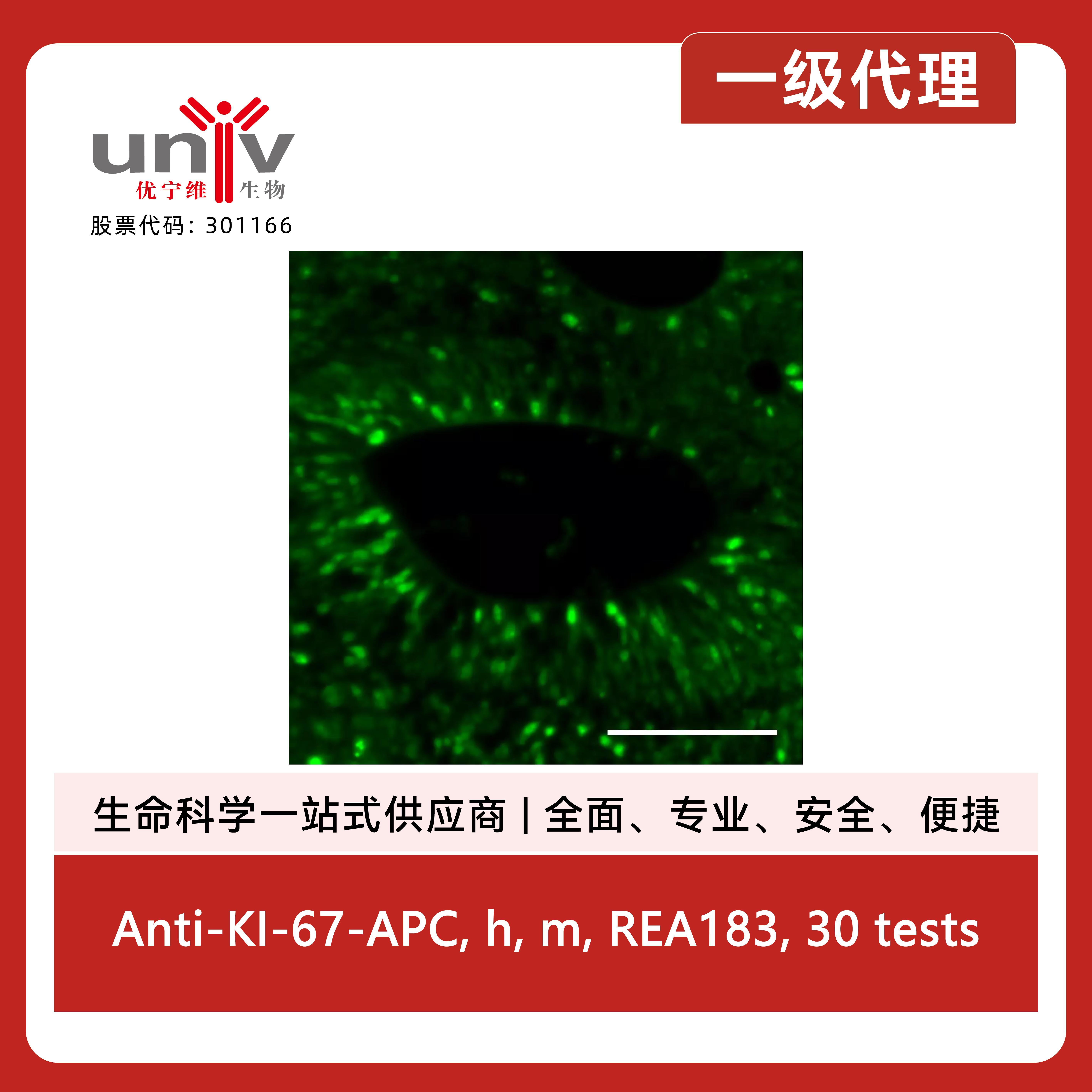 产品细节图片14
