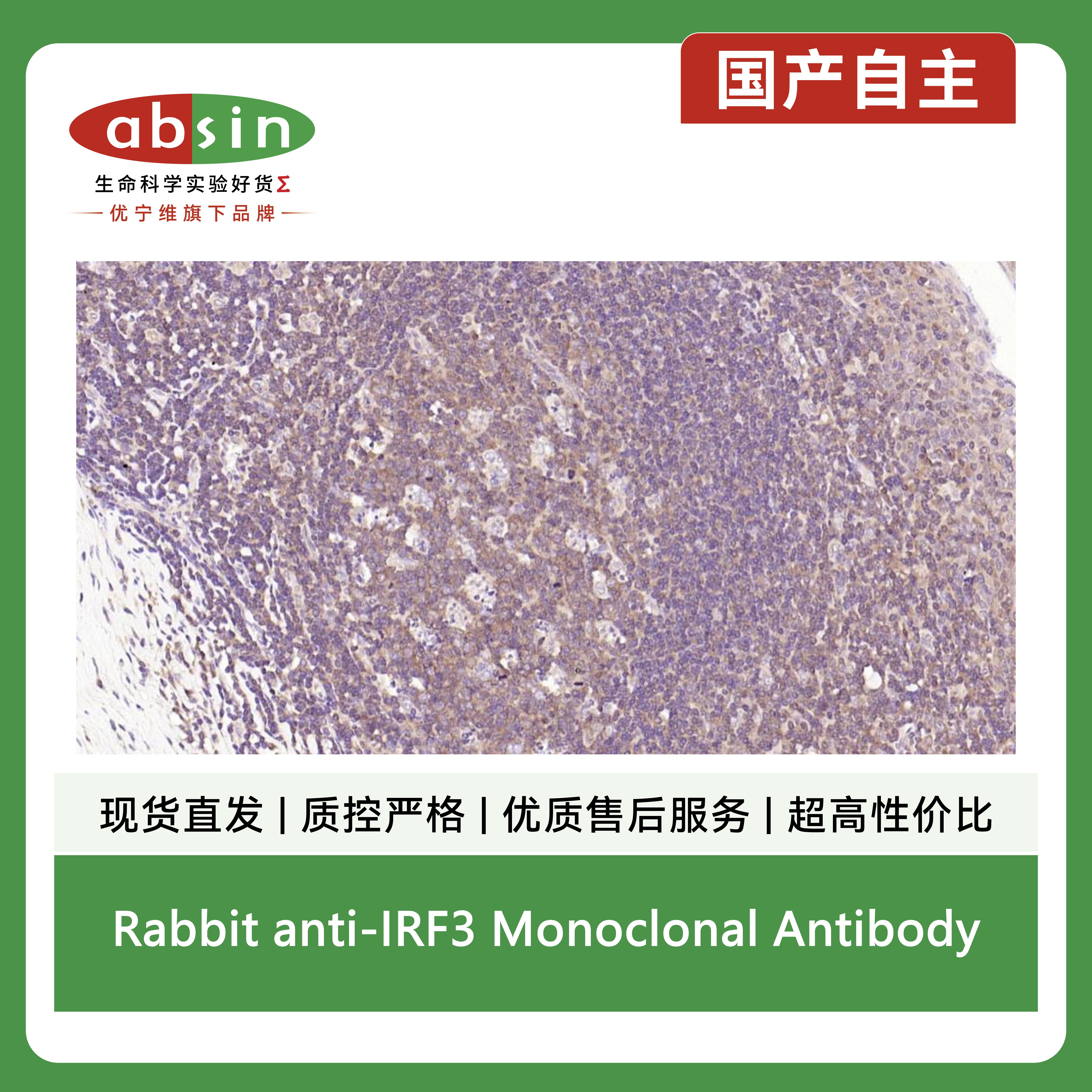 产品细节图片10