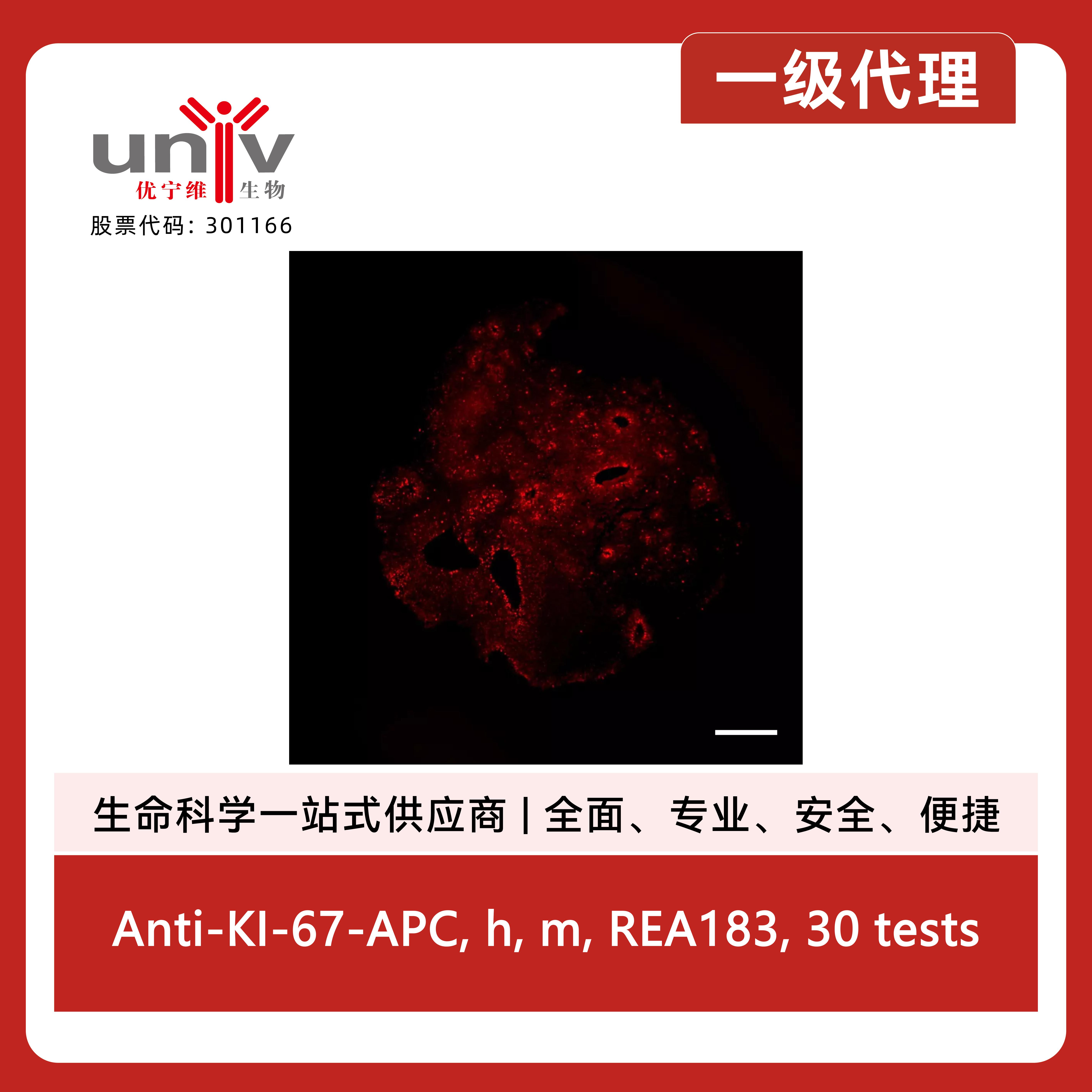 产品细节图片6