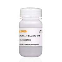 WB专用一抗二抗稀释液 Wb抗体稀释液|Primary&Secondary Antibody Diluent for WB