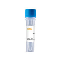 Human IFN-alpha B2/IFNA8 Protein 重组人干扰素-α B2亚型(人IFN-alpha B2/IFNA8)