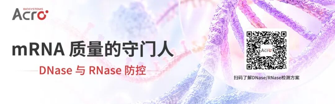 mRNA质量守门人：DNase与RNase防控