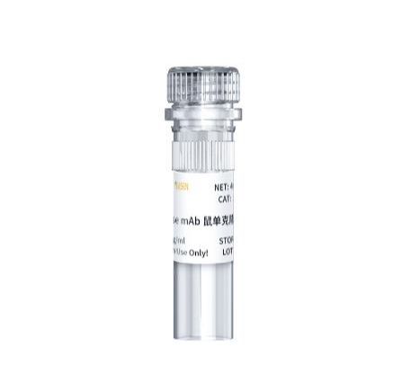 Caspase 8 Mouse mAb