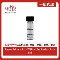 Recombinant Pro-TNF-alpha Fusion Protein, CF (10 ug)