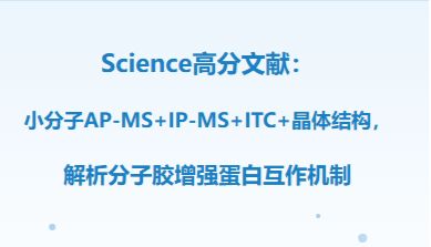 Science高分文献：小分子AP-MS+IP-MS+ITC+晶体结构，解析分子胶增强蛋白互作机制
