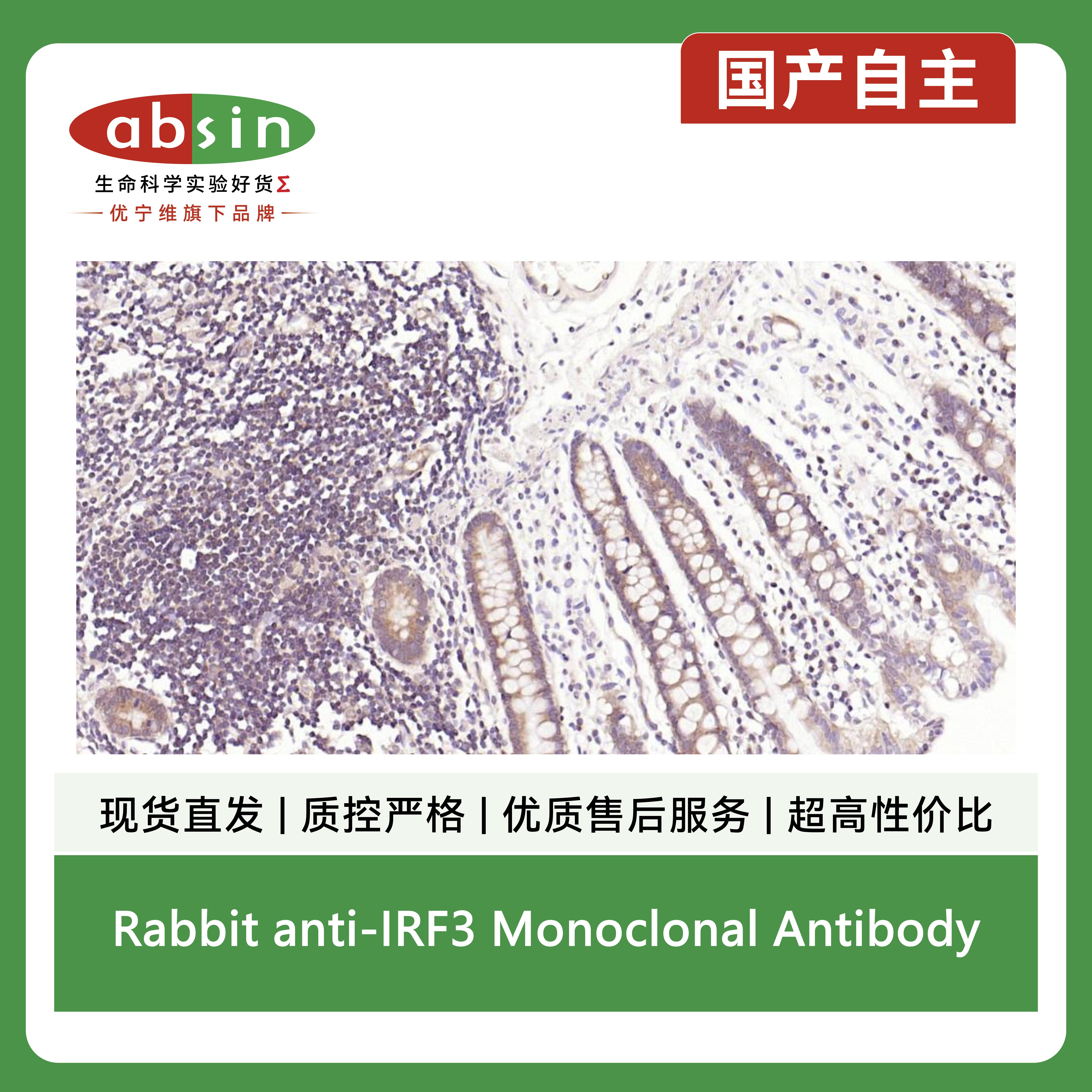 产品细节图片6