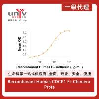 Recombinant Human CDCP1 Fc Chimera Protein, CF (50 UG)