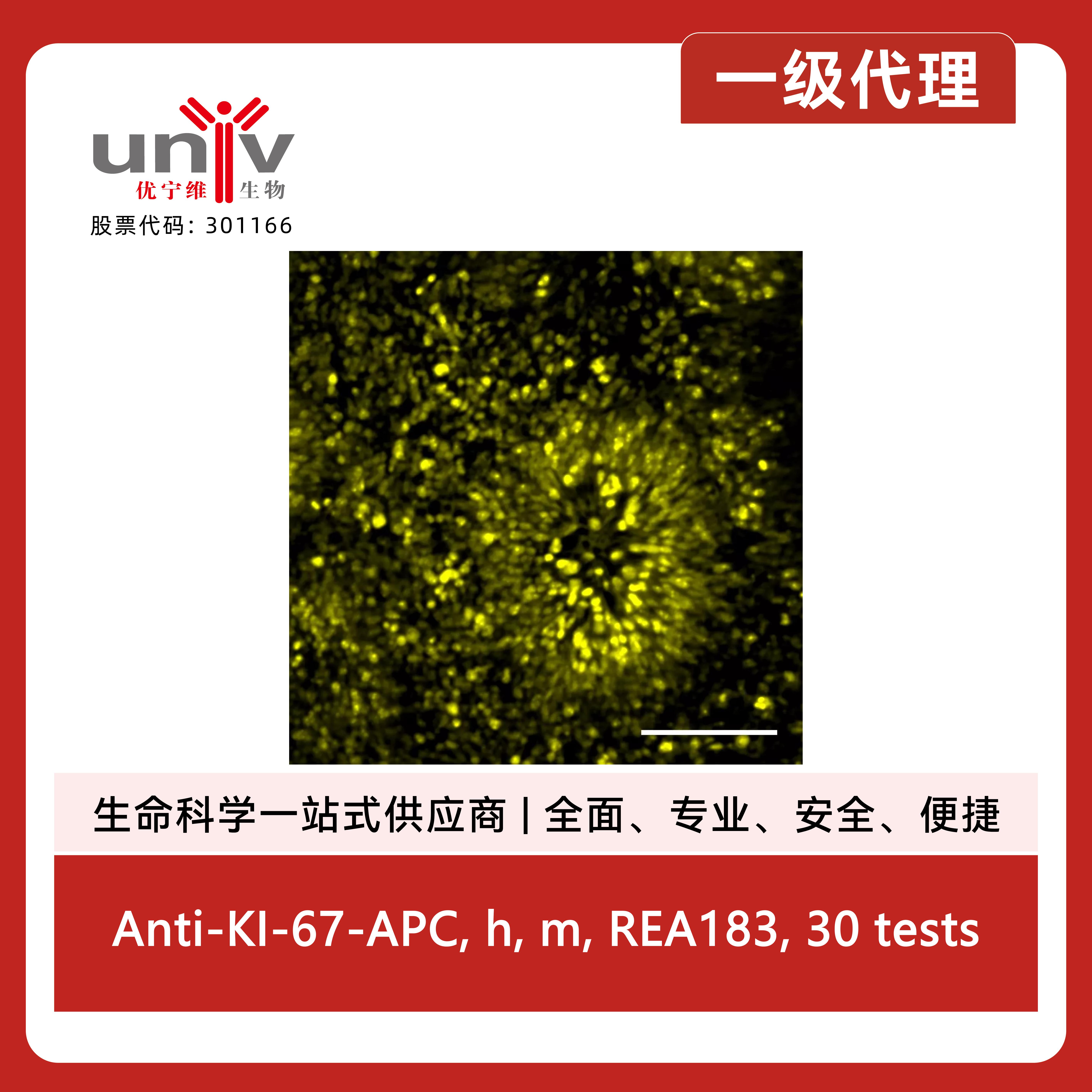 产品细节图片1
