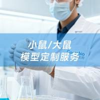 小鼠/大鼠模型定制服务