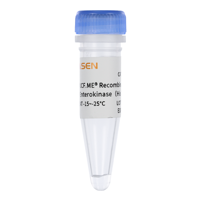 酵母表达重组肠激酶(His标签) Recombinant Enterokinase产品图
