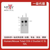 Human/Mouse Total COX-2 DuoSet IC ELISA, 2 Plate (1 KIT)