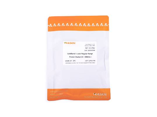 三色预染蛋白质分子量标准(10-180kDa) 即用型预染蛋白质|GoldBand 3-color Regular Range Protein Marker产品图