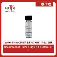 Recombinant Human Siglec-1 Protein, CF (50 ug)