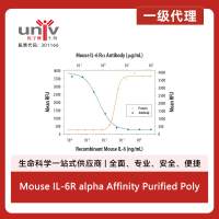 Mouse IL-6R alpha Affinity Purified Polyclonal Ab (100 ug)