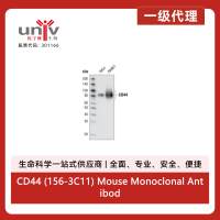 CD44 (156-3C11) Mouse Monoclonal Antibody