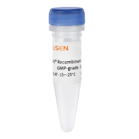 GMP级重组牛肠激酶(His标签，酵母表达)  Recombinant Bovine Enterokinase
