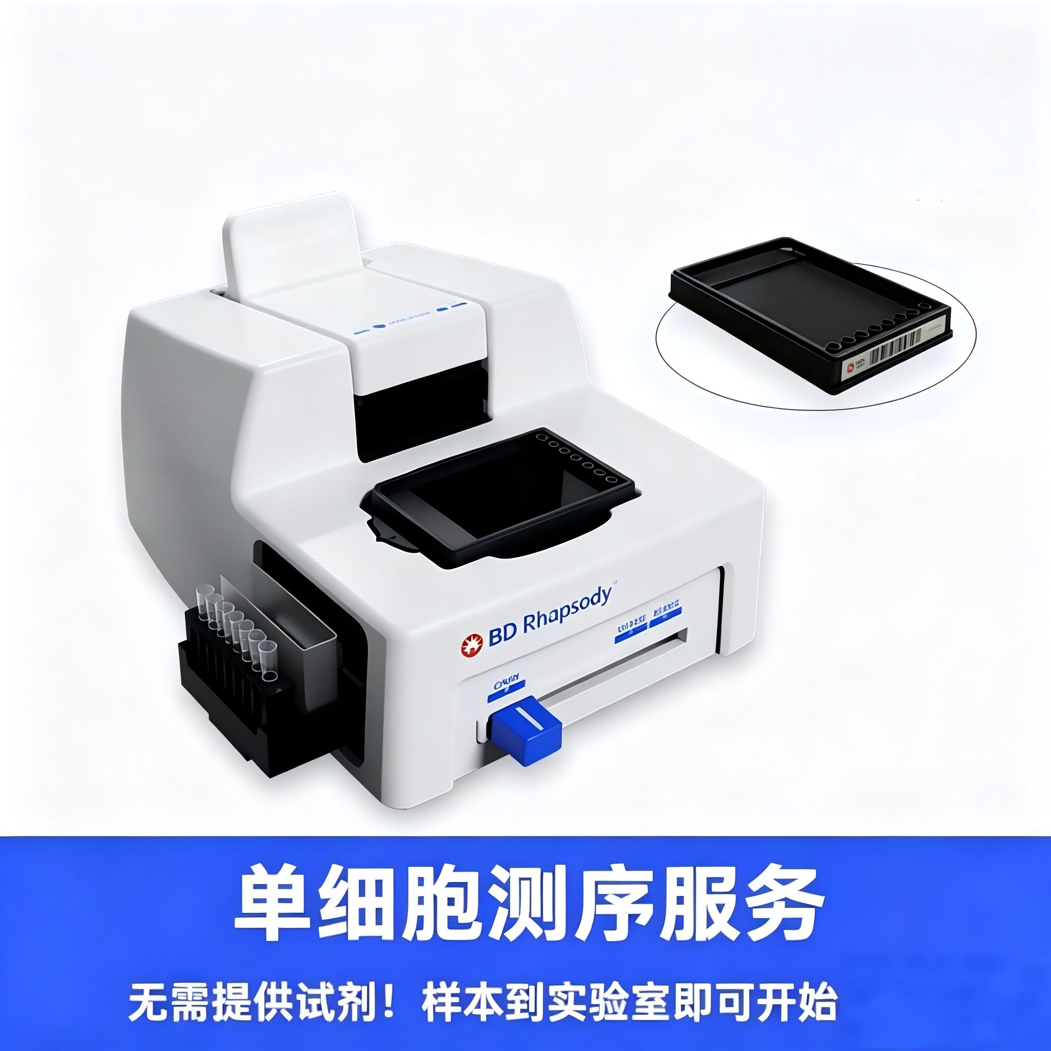 即到即检:单细胞WTA测序(scRNA-seq)服务外包,无需额外备剂产品图