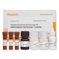 多重荧光免疫组化四色试剂盒(TSA) mIHC试剂盒(三标四色)