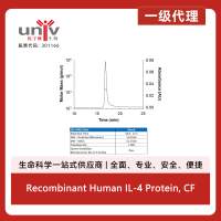 Recombinant Human IL-4 Protein, CF