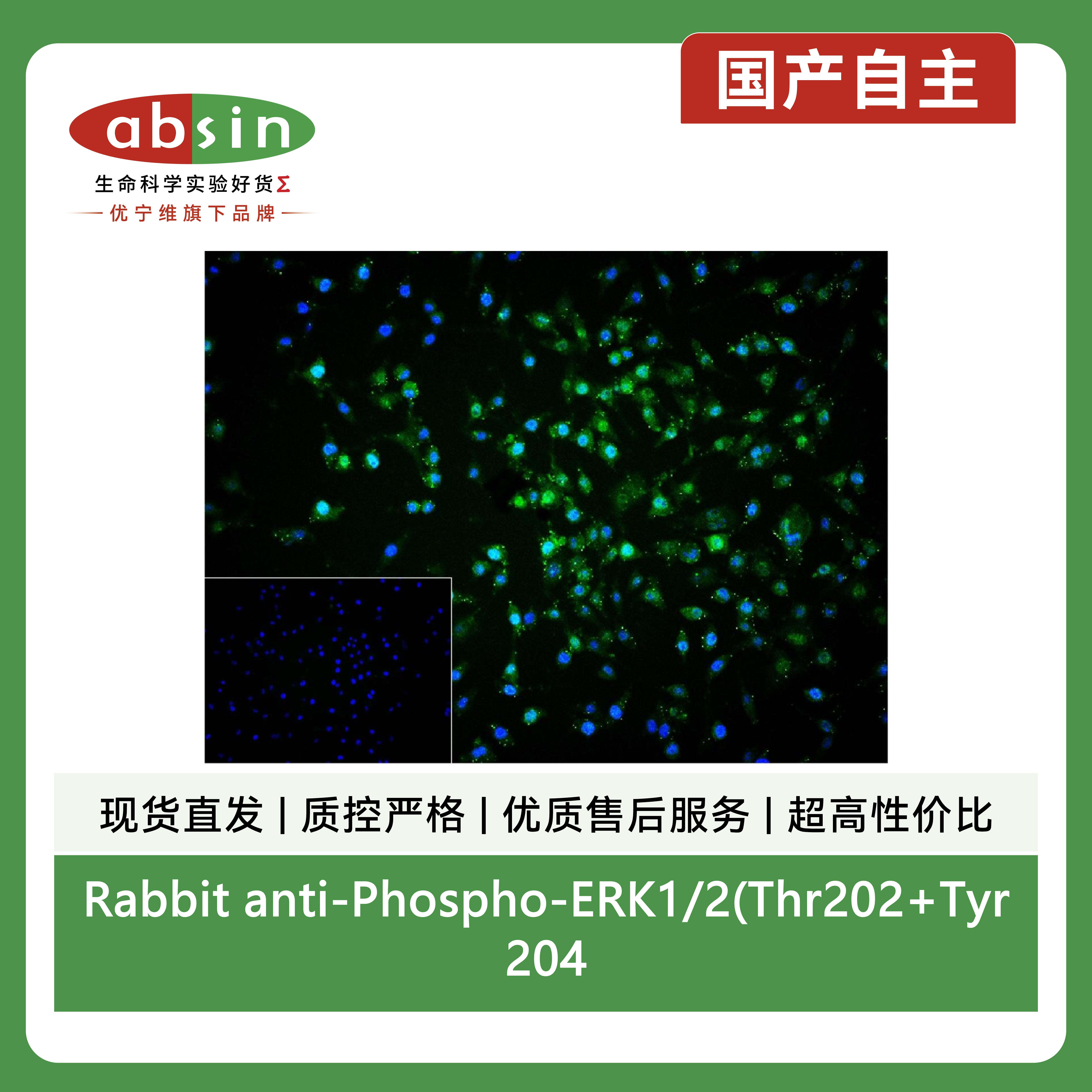 产品细节图片2