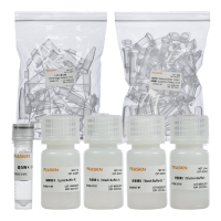 外泌体DNA分离试剂盒 Exosome DNA Isolation Kit