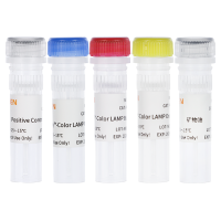 LAMP法支原体检测试剂盒(2G)