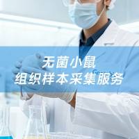 无菌小鼠组织样本采集服务