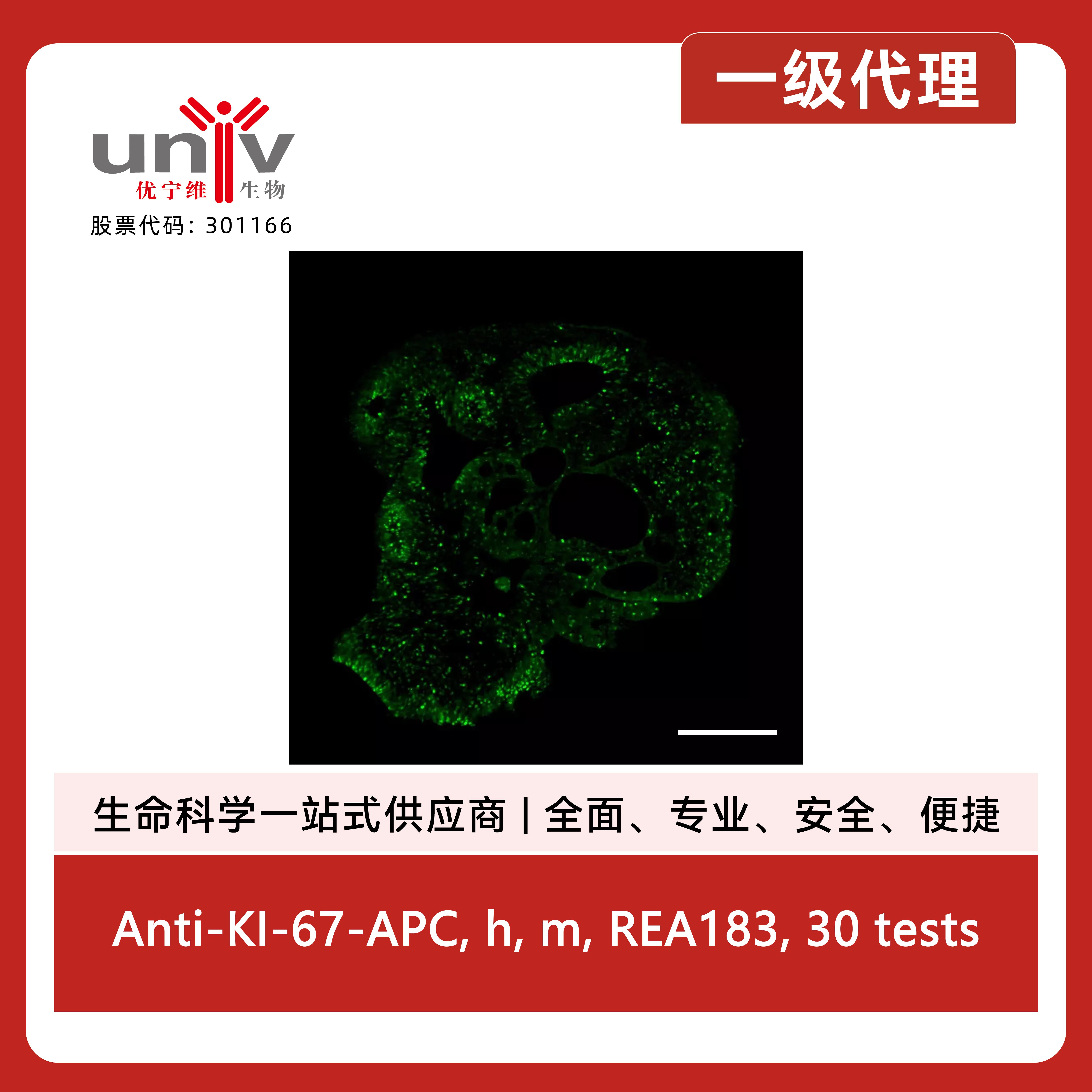 产品细节图片10