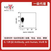 IL-12R β2 Antibody, anti-human, Vio® Bright V423, REAfinity™