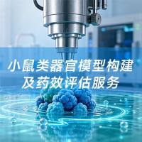 小鼠类器官模型构建及药效评估服务