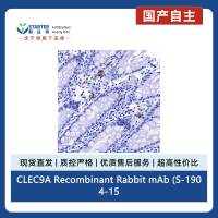 CLEC9A Recombinant Rabbit mAb (S-1904-154)