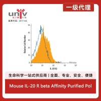 Mouse IL-20 R beta Affinity Purified Polyclonal Ab (100 ug)