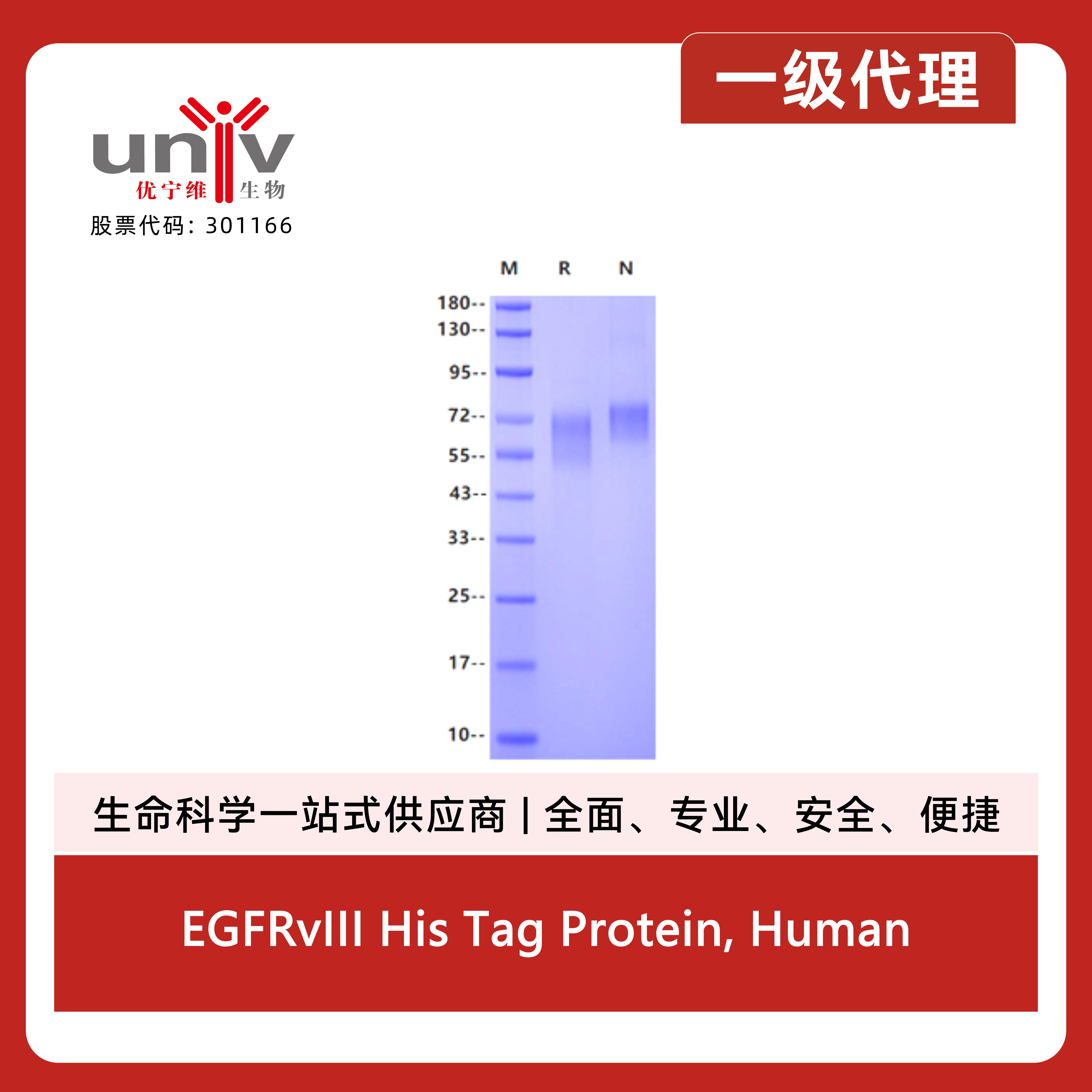 产品细节图片1