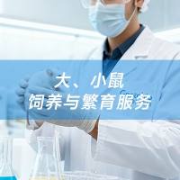 大、小鼠饲养与繁育服务