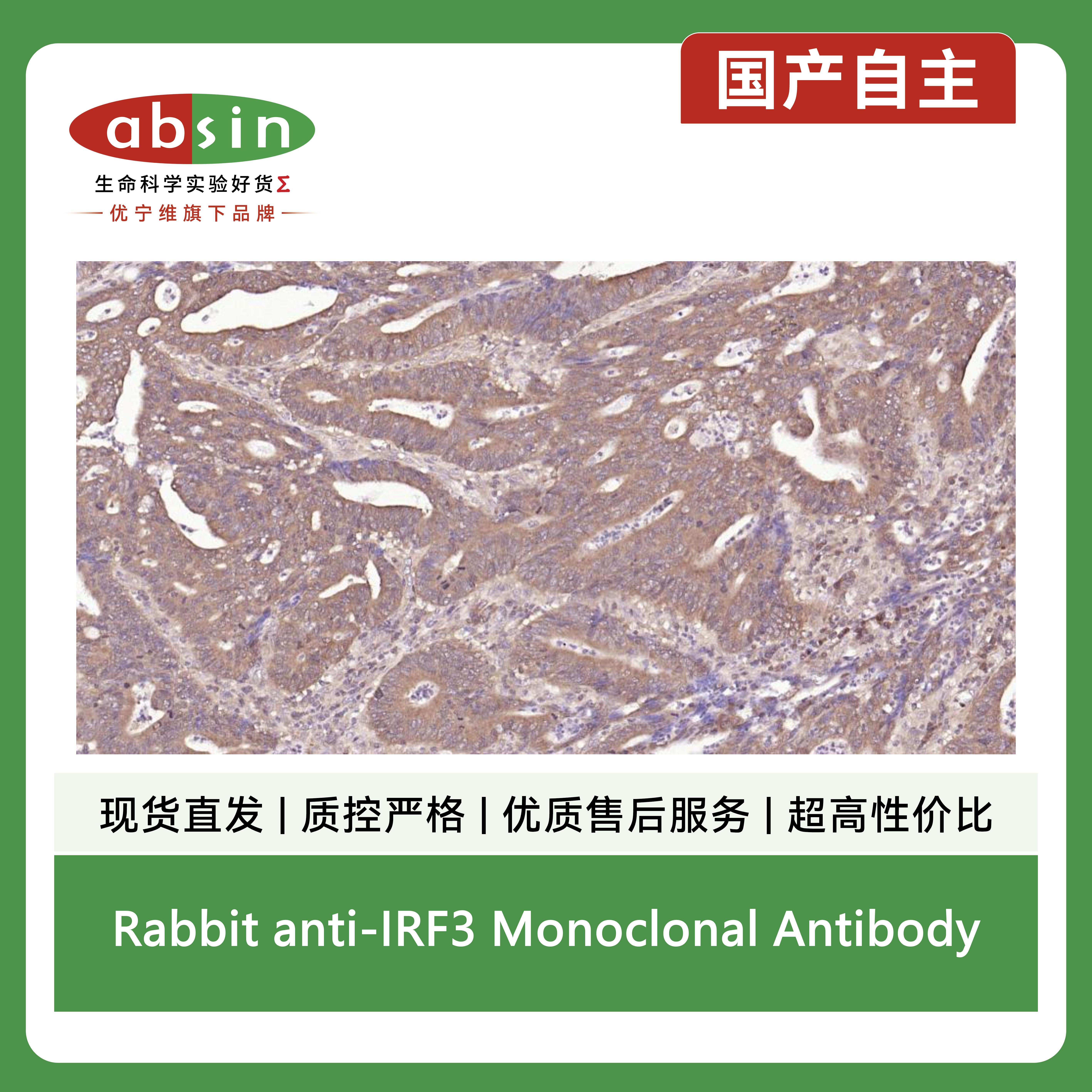 产品细节图片9