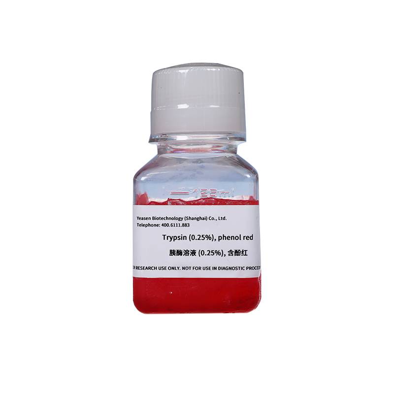 胰蛋白酶溶液 胰酶溶液含酚红0.25%|Trypsin(phenol red)产品图