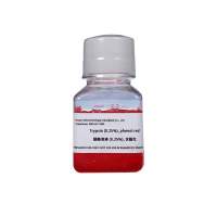 胰蛋白酶溶液 胰酶溶液含酚红0.25%|Trypsin(phenol red)