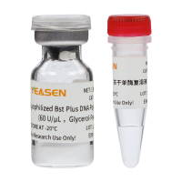可冻干Bst酶 Lyophilized Bst Plus DNA Polymerase