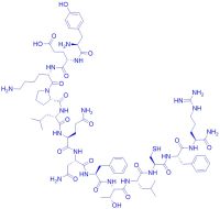 Tyr-Amyloid P Component (27-38) amide