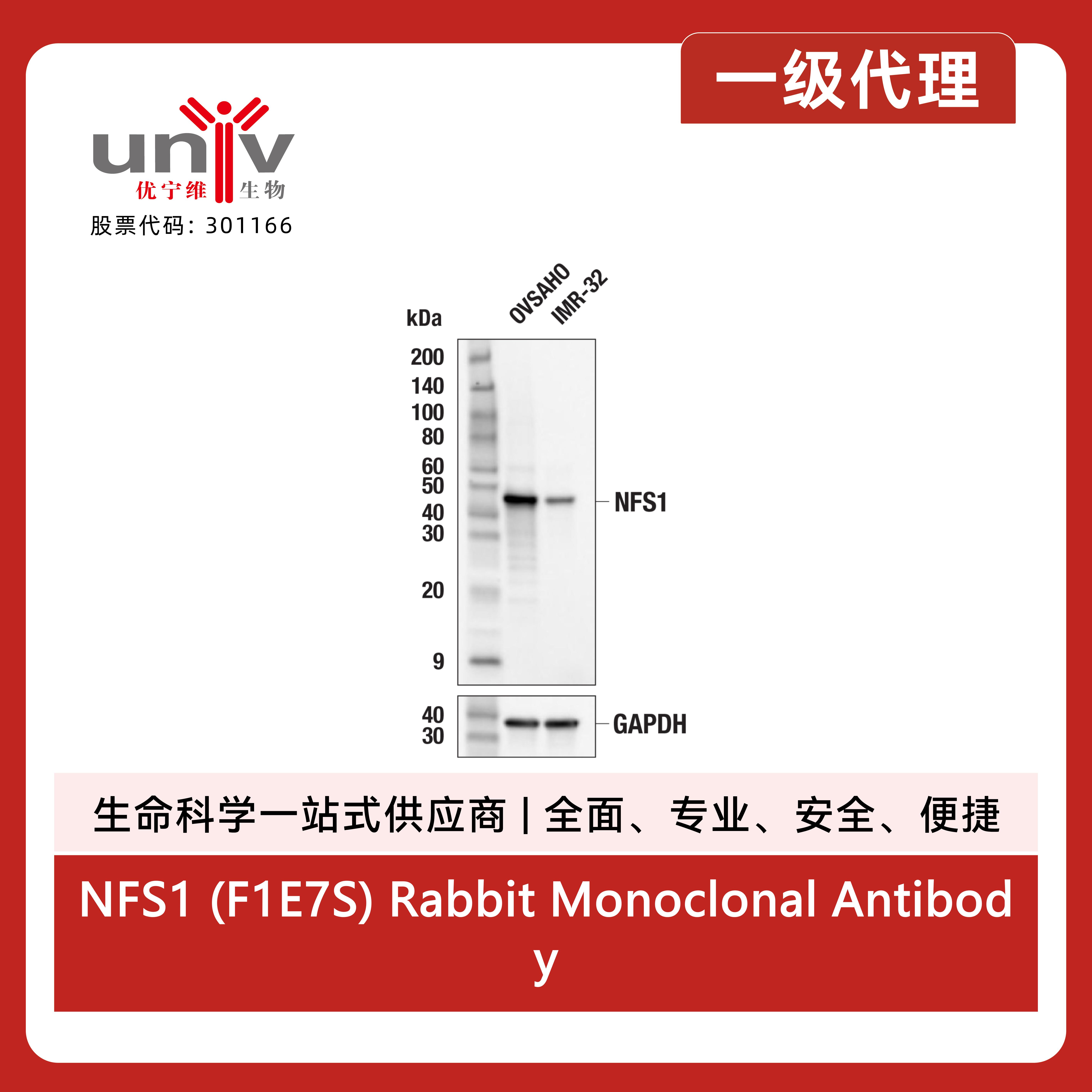 产品细节图片1