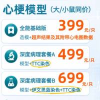 【免费检测超声】心肌梗死(MI)小鼠模型 MI模型 心梗模型